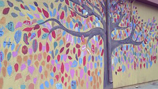 1921961_739850942733531_1840342604_a